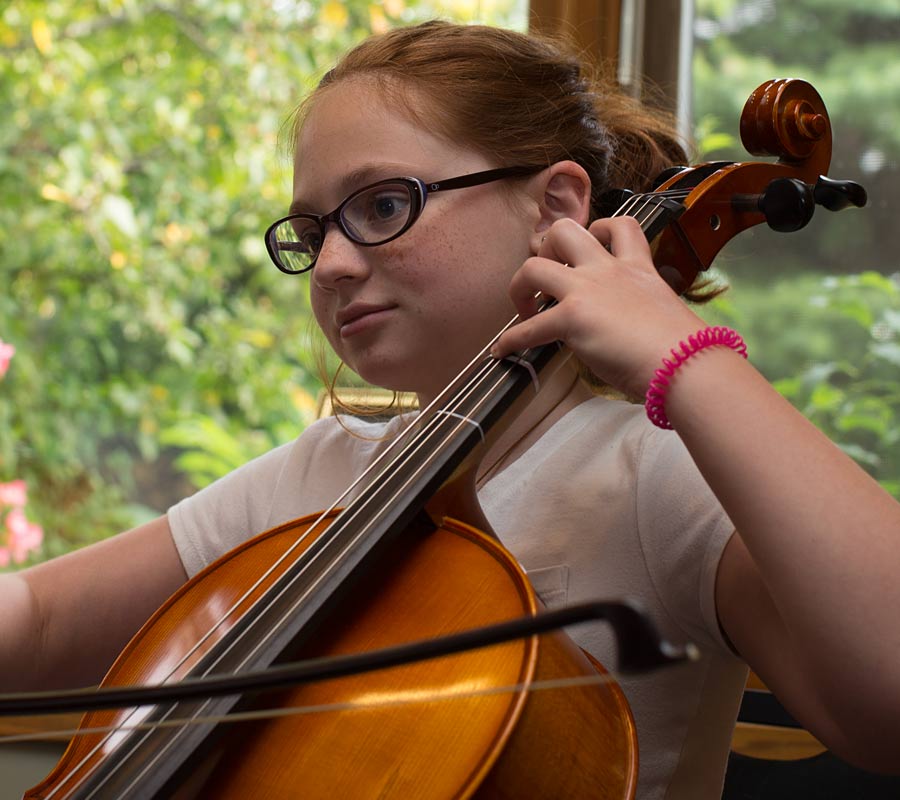 Standard Cello Austin's Violin Shop Rental PortalAustin's Violin Shop